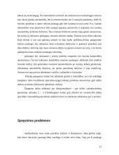 Inovacinis projektas: suspausto oro varomų automobilių remonto paslaugos kūrimas 12 puslapis