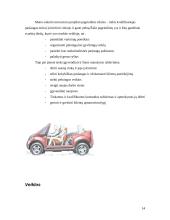 Inovacinis projektas: suspausto oro varomų automobilių remonto paslaugos kūrimas 14 puslapis