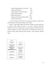 Inovacinis projektas: suspausto oro varomų automobilių remonto paslaugos kūrimas 16 puslapis