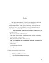 Inovacinis projektas: suspausto oro varomų automobilių remonto paslaugos kūrimas 20 puslapis