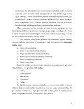 Inovacinis projektas: suspausto oro varomų automobilių remonto paslaugos kūrimas 5 puslapis