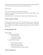 Internetinė B2B sistema (verslas verslui) 3 puslapis