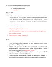 Internetinė B2B sistema (verslas verslui) 7 puslapis