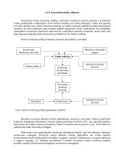 Lietuvos investiciniai fondai 19 puslapis