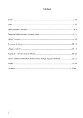 Islamas. Islamo politika