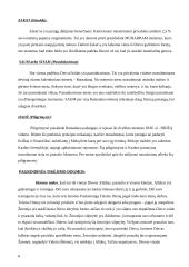 Islamas. Islamo politika 5 puslapis