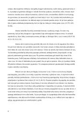 Islamas. Islamo politika 7 puslapis