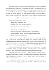 ISO standartų taikymas organizacijoje 4 puslapis