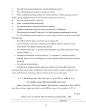 Joniškio rajono savivaldybės 2004-2005 metų biudžetas ir jo paskirstymo efektyvumas 14 puslapis