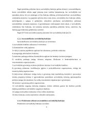Joniškio rajono savivaldybės 2004-2005 metų biudžetas ir jo paskirstymo efektyvumas 4 puslapis