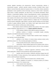 Juridinių asmenų pelno mokestis 12 puslapis