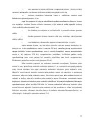Juridinių asmenų pelno mokestis 13 puslapis