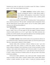 Kadmio biologinė chemija 9 puslapis