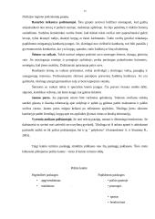 Kaimo turizmas Suvalkijos regione 15 puslapis