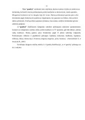 Kaimo turizmas Suvalkijos regione 19 puslapis