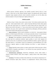 Kalbos kodavimas 2 puslapis