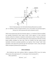 Kalbos kodavimas 15 puslapis