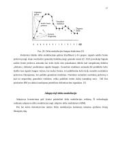 Kalbos kodavimas 17 puslapis