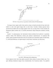 Kalbos kodavimas 18 puslapis