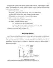 Kalbos kodavimas 4 puslapis
