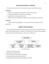 Kalbos kodavimas 6 puslapis