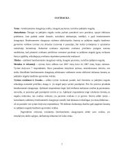 Bendruomenės slaugytojo veikla, slaugant pacientus, turinčius judėjimo negalią 2 puslapis