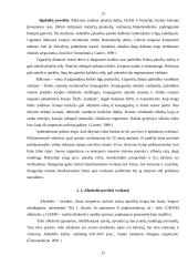 Bendruomenės slaugytojos veiklos svarba profilaktiniame darbe su vaikais, vartojančiais priklausomybę sukeliančias medžiagas 12 puslapis