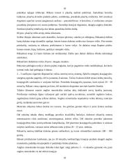 Bendruomenės slaugytojos veiklos svarba profilaktiniame darbe su vaikais, vartojančiais priklausomybę sukeliančias medžiagas 10 puslapis