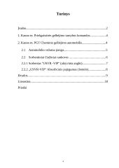 Kauno miesto priešgaisrines gelbėjimo tarnybos ir jos turimų sorbentų pristatymas 4 puslapis