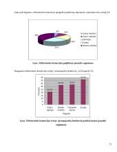 Elektroninės prekybos sistema: UAB "Fektus" 13 puslapis