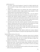 Elektroninės prekybos sistema: UAB "Fektus" 18 puslapis