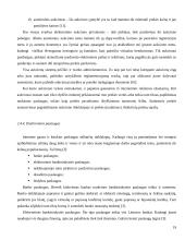 Elektroninės prekybos sistema: UAB "Fektus" 19 puslapis