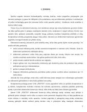 Elektroninės prekybos sistema: UAB "Fektus" 6 puslapis