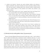 Elektroninės prekybos sistema: UAB "Fektus" 10 puslapis