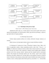 Kavos vartotojų elgsenos tyrimas 19 puslapis