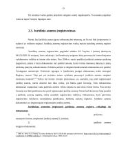 Juridinių asmenų steigimas Lietuvos nacionalinėje teisėje 15 puslapis