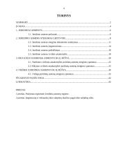 Juridinių asmenų steigimas Lietuvos nacionalinėje teisėje 4 puslapis