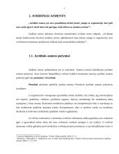 Juridinių asmenų steigimas Lietuvos nacionalinėje teisėje 7 puslapis