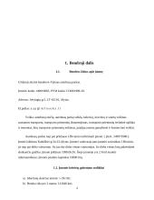 Keleivių vežimo technologinio proceso organizavimas Alytaus mieste maršrutu Nr. 10M 4 puslapis