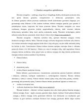 Kietosios dalelės šiluminėje energetikoje, jų poveikis aplinkai ir žmonių sveikatai 4 puslapis