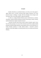 Klasikinis liberalizmas 20 puslapis