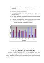 Klientų analizė: UAB "Timber Frame Technology" 13 puslapis