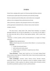 Klientų analizė: UAB "Timber Frame Technology" 3 puslapis