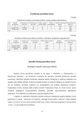 Knygos, žurnalo ir reklaminio bukleto technologiniai procesai 11 puslapis