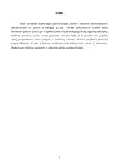 Knygos, žurnalo ir reklaminio bukleto technologiniai procesai 2 puslapis