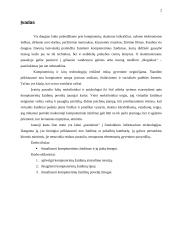 Kompiuteriniai žaidimai ir jų įtaka 2 puslapis