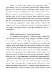 Kompiuteriniai žaidimai ir jų įtaka 13 puslapis