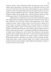 Kompiuteriniai žaidimai ir jų įtaka 14 puslapis