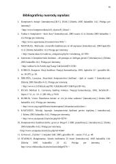 Kompiuteriniai žaidimai ir jų įtaka 16 puslapis