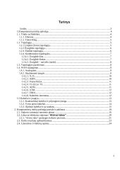 Kompiuterinio tinklo paslaugų paketo pristatymas vartotojui 2 puslapis